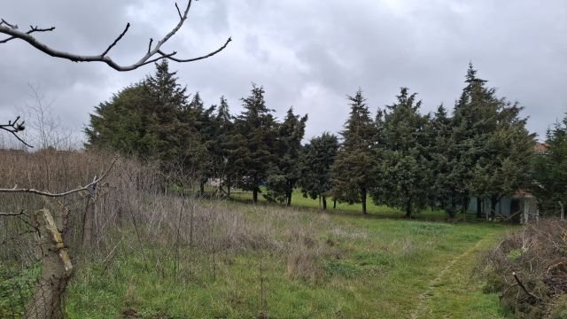 Silivri Kadıköy'de Villalar Bölgesinde Satılık Yatırımlık Arsa (317+317 m²)