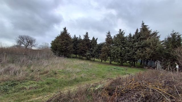 Silivri Kadıköy'de Villalar Bölgesinde Satılık Yatırımlık Arsa (317+317 m²)
