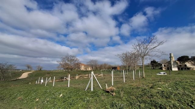 SİLİVRİ/DEĞİRMENKÖY'DE SATILIK TEK TAPU ARSA